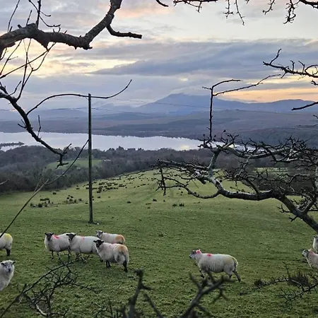 Downings View Ballynaworthra