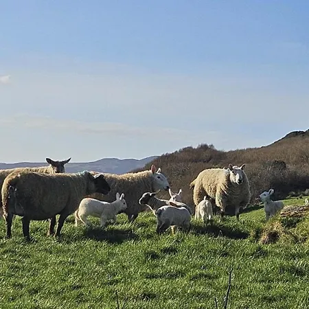 Downings View * Ballynaworthra