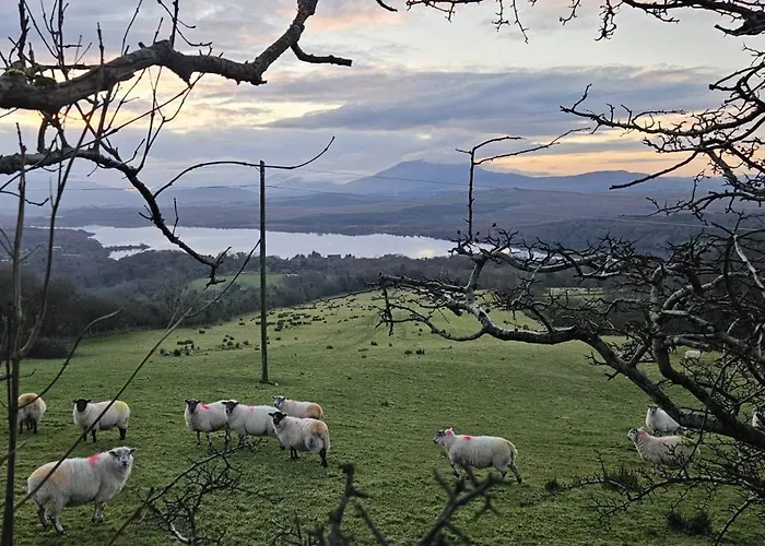 Downings View Ballynaworthra